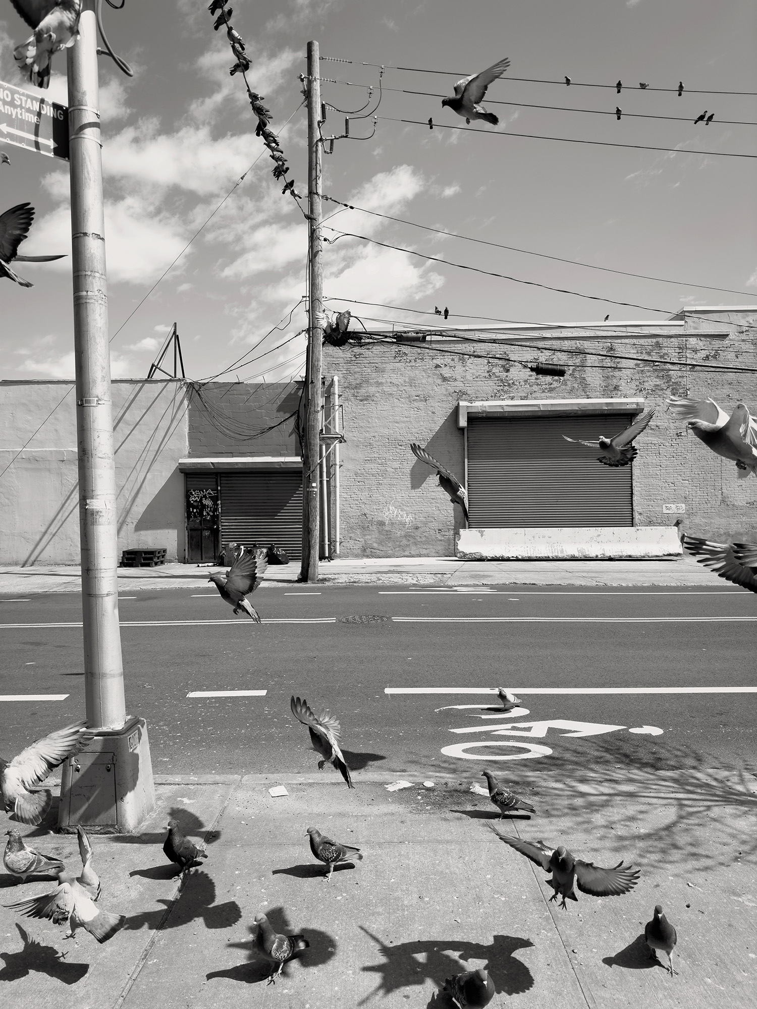 Christoph Radke, New York City, Red Hook neighborhood, 2024